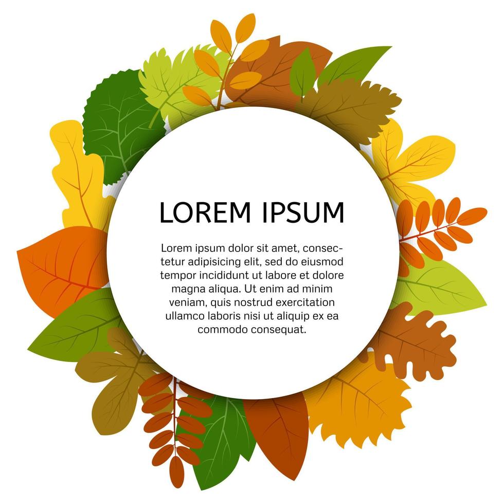 Colorful autumn leaves under white round label. Vector card with yellow leaves isolated on white background