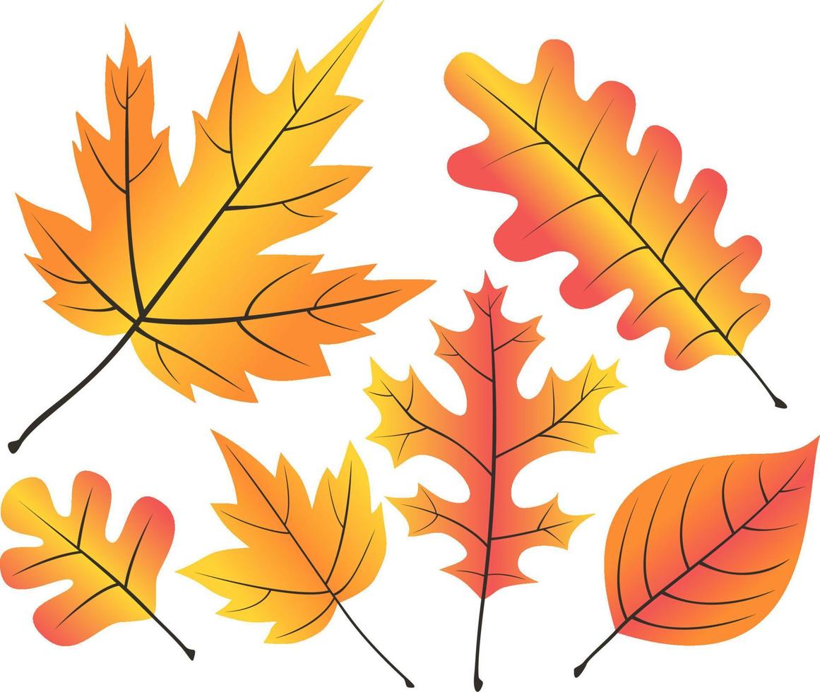 Fall Leaf Assortment Icon Decals vector