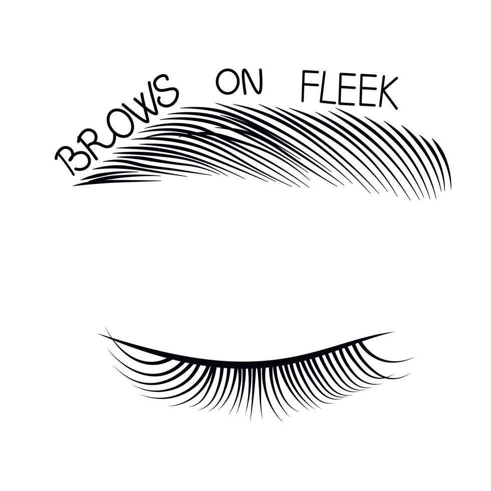 Brows On Fleek. Hand drawn lettering. Vector stock illustration. Isolated on a white background. Eyebrow Sticker