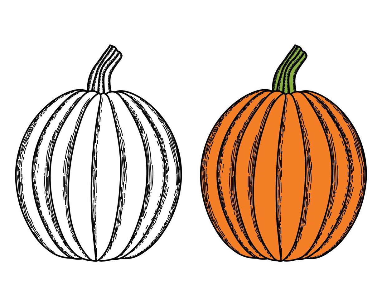 Calabazas De Halloween Para Colorear ilustración vectorial de calabaza. calabaza dibujada a mano para colorear vector de libro