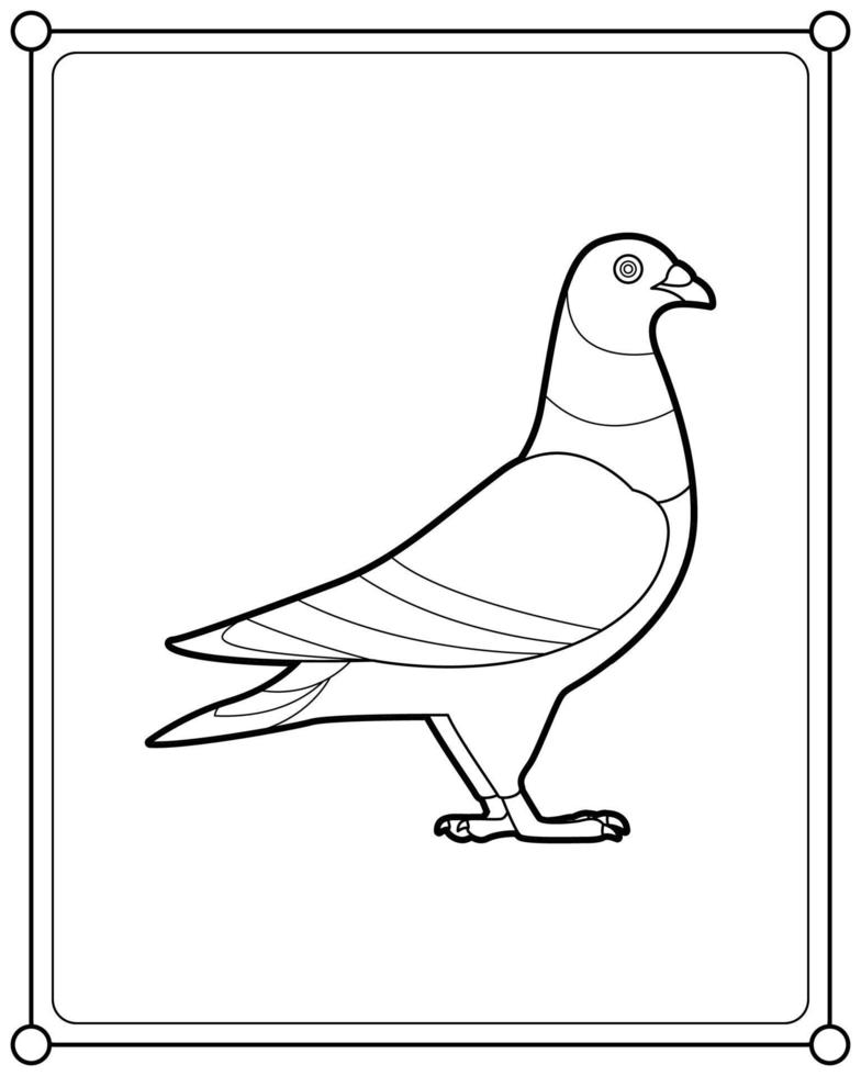 hermosa paloma adecuada para la ilustración de vector de página de color de los niños