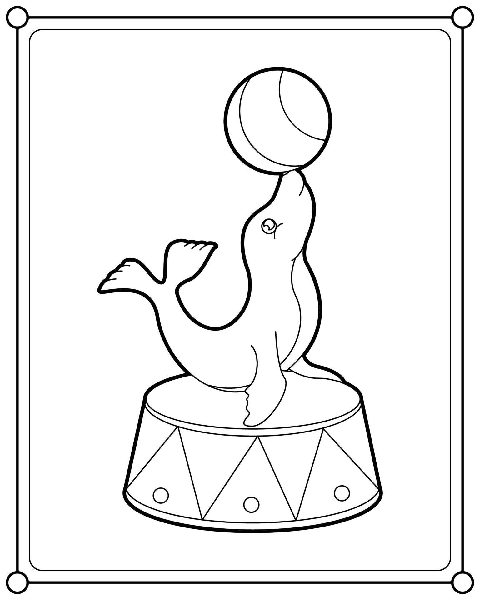 Seal circus show suitable for children's coloring page vector