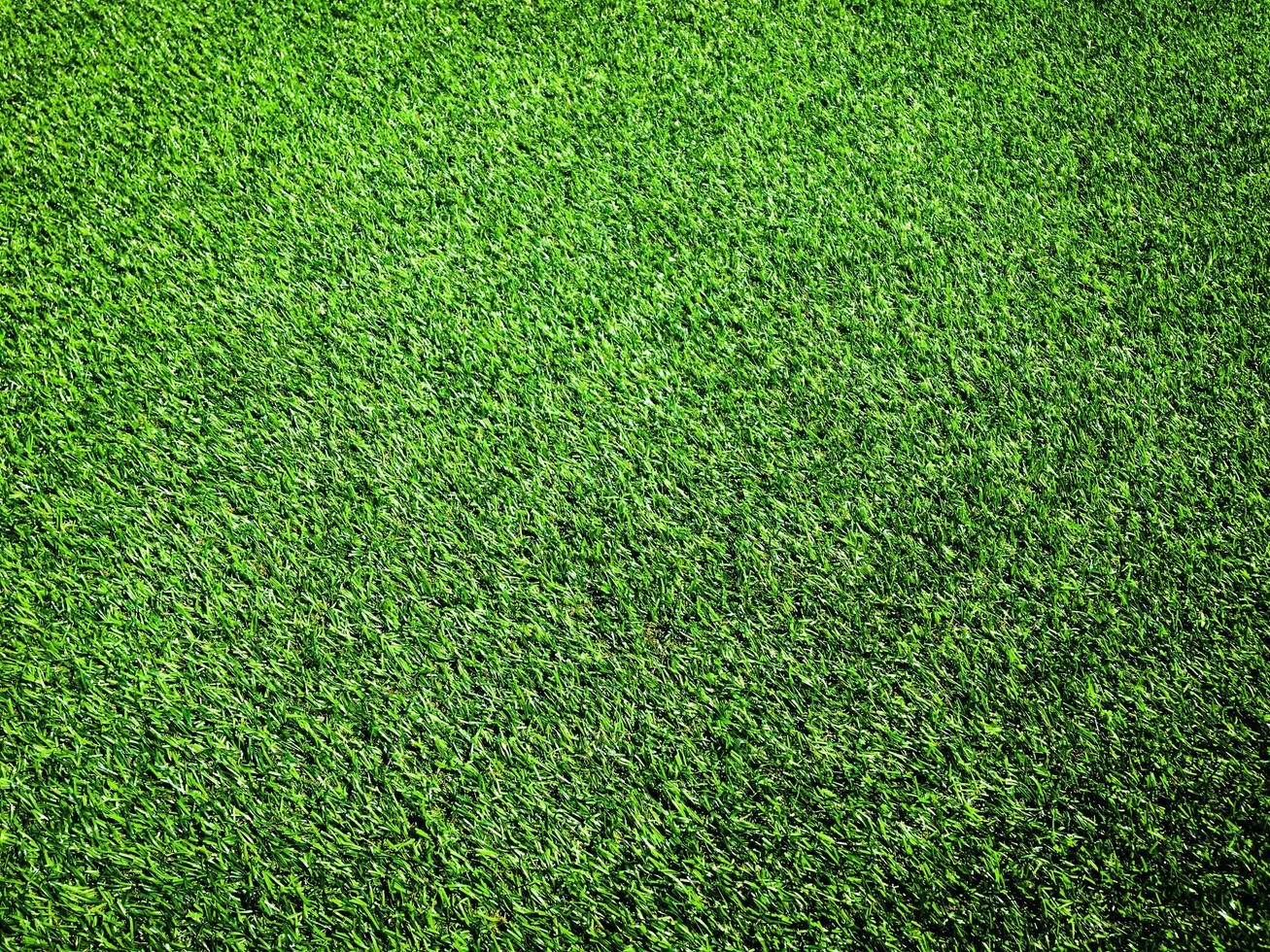 Green grass in the natural background for design photo