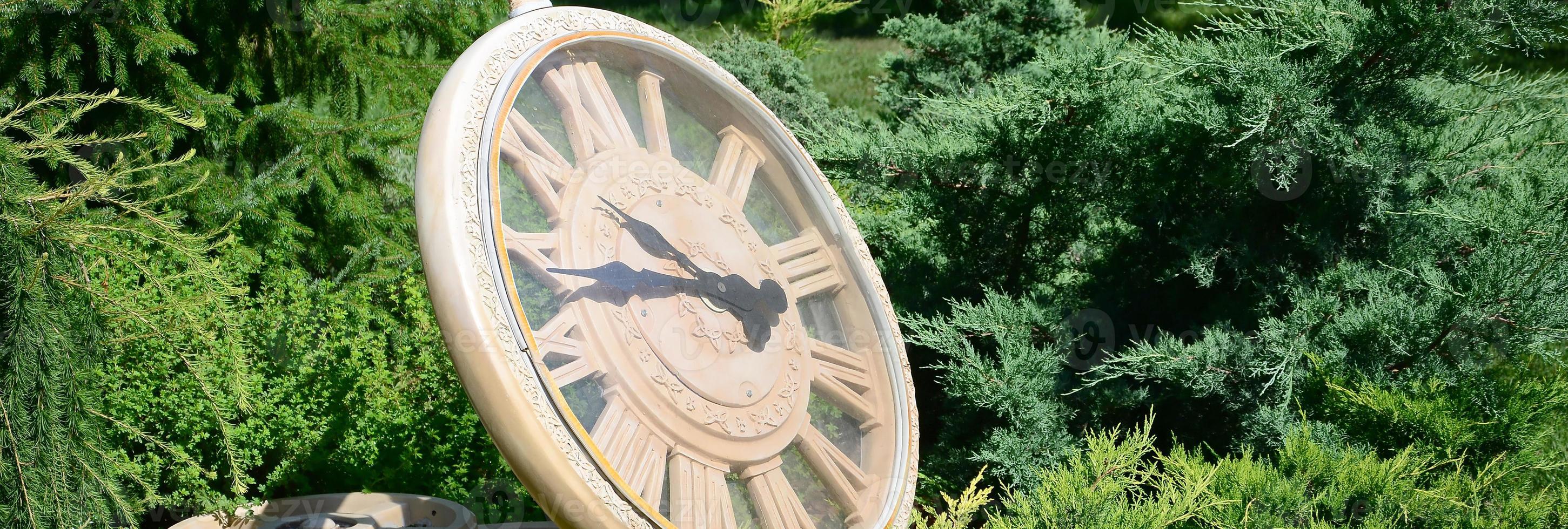 Street clock in a park under branches of trees close up photo