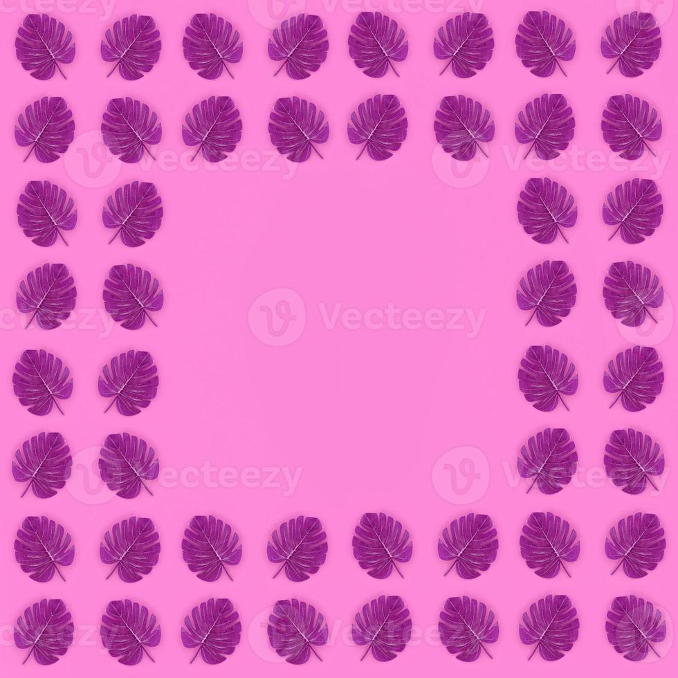 Tropical palm monstera leaves lies on a pastel colored paper. Nature summer concept pattern. Flat lay composition. Top view photo
