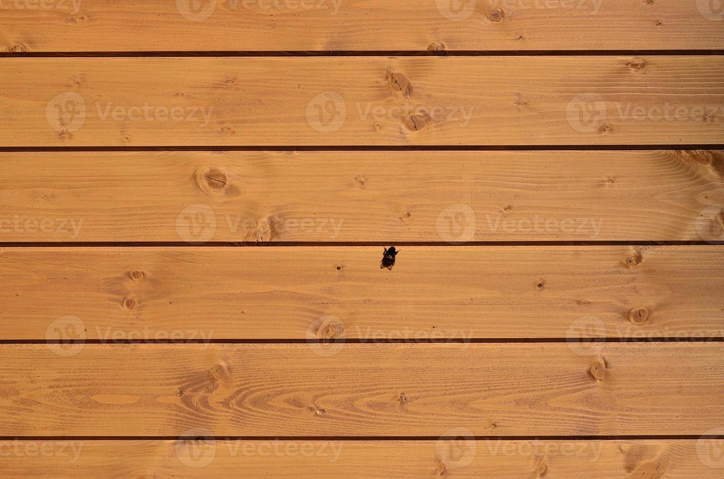 textura de una antigua valla de tablones horizontales de madera naranja con abejas sentadas sobre ellos foto