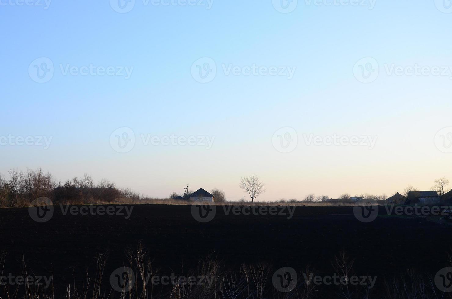 Dawn in the village. A minimalistic photo with a horizon line on which there is an apartment house and a tree