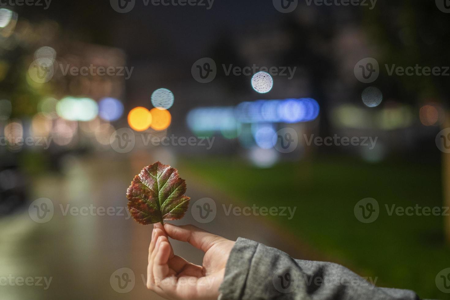 A hand holds an autumn leaf against the background of bokeh city lights. Night urban landscape, colored lights reflected in the wet asphalt. The lights of a rainy night in the autumn city photo