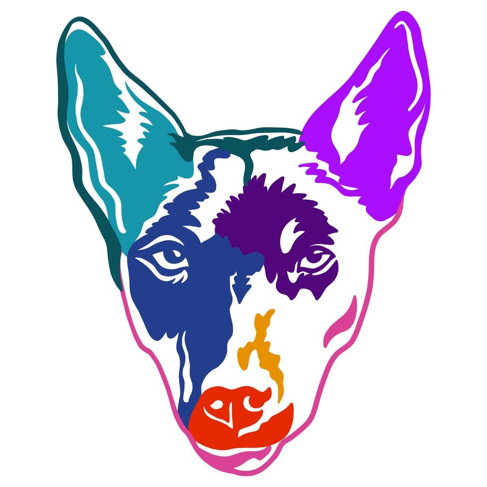 Abstract portrait of a kelpie dog color contour illustration vector