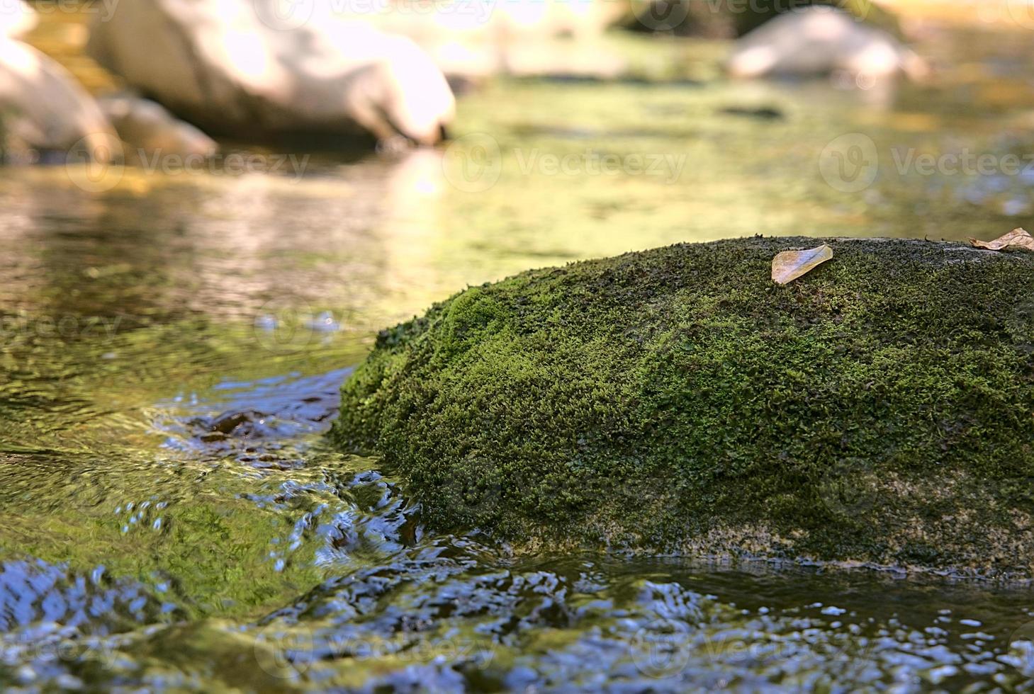 pequeño flujo de agua foto