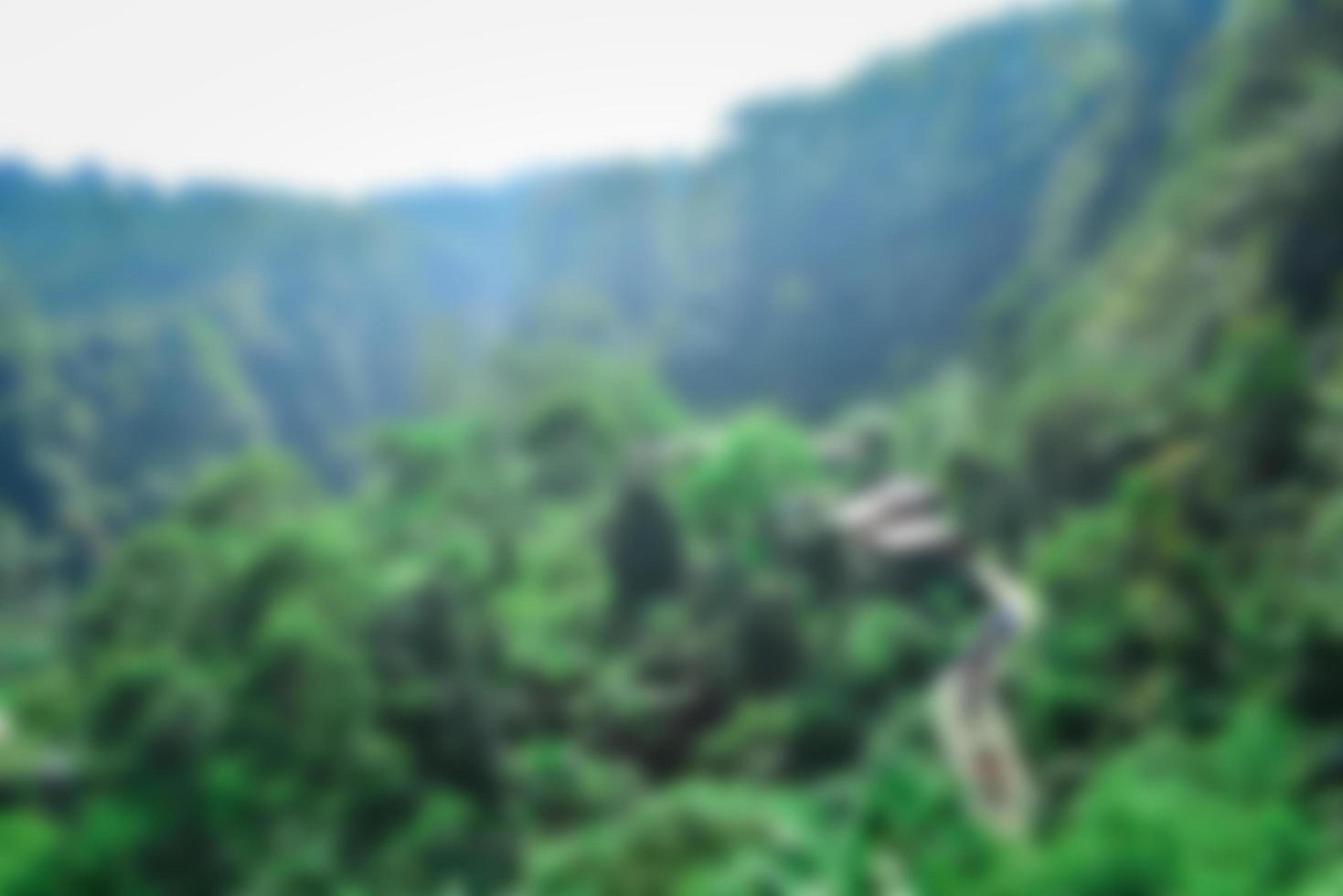 Blurred background. view of mountain forest. Green concept photo