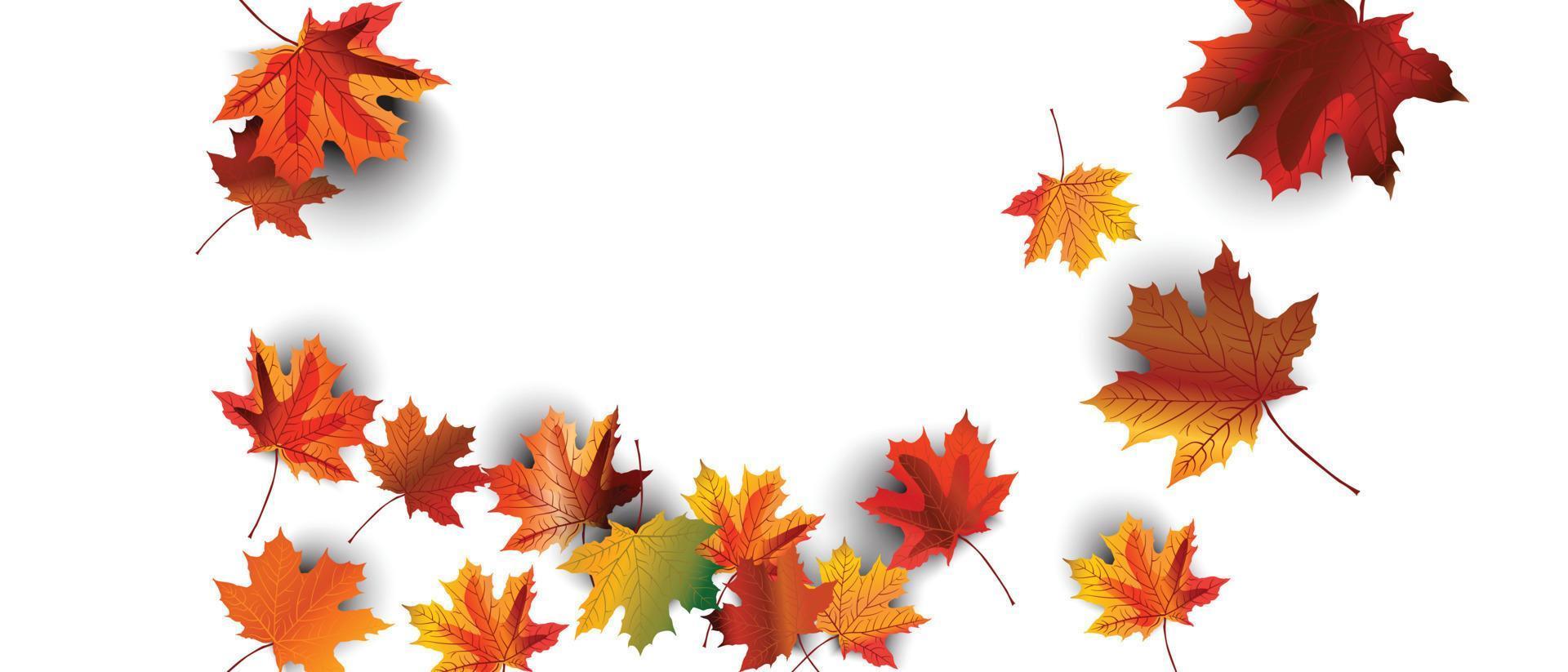 ilustración de vector de fondo de resplandor blanco de hoja de otoño