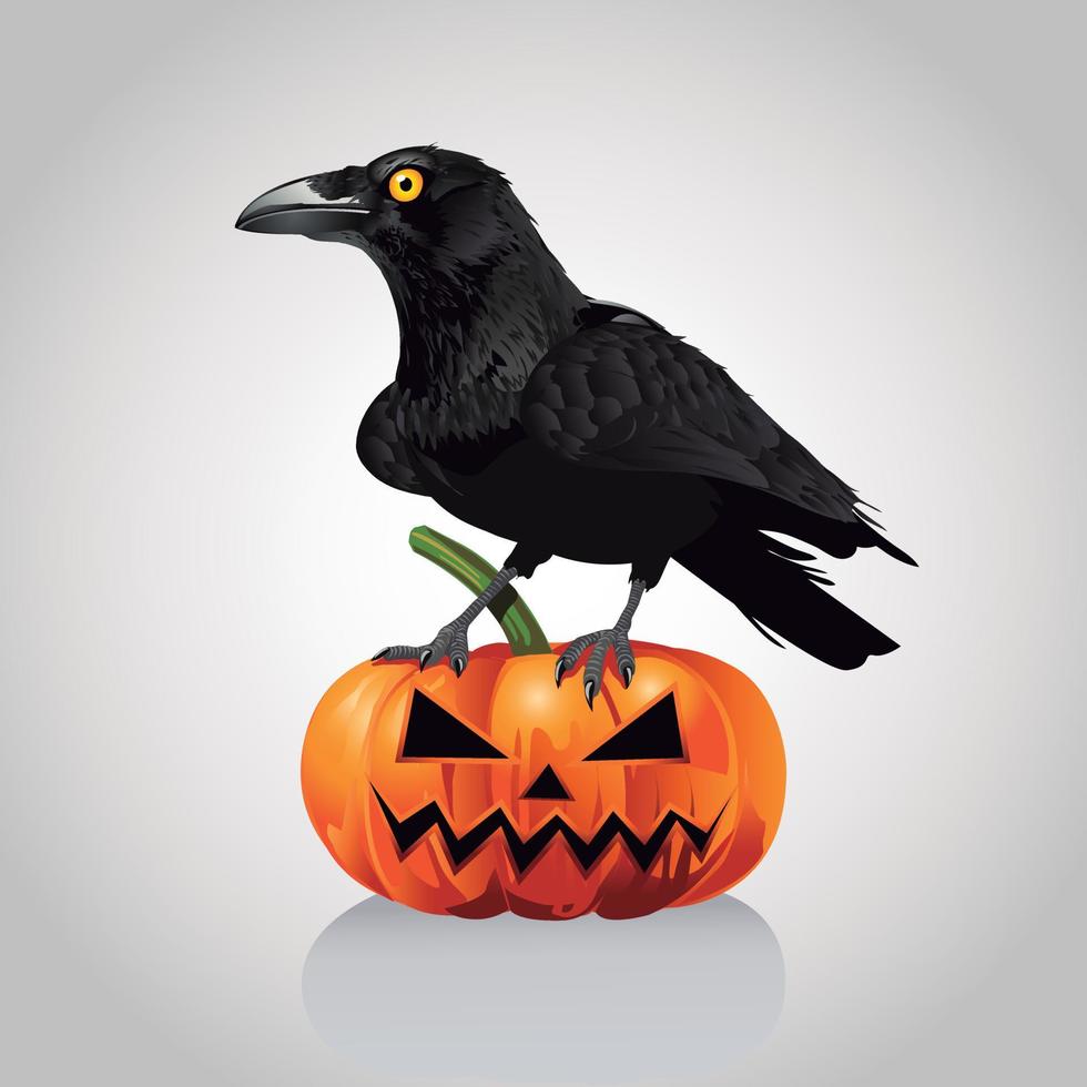 Hand drawn halloween crow and pumpkin illustration. Raven and pumpkin. vector