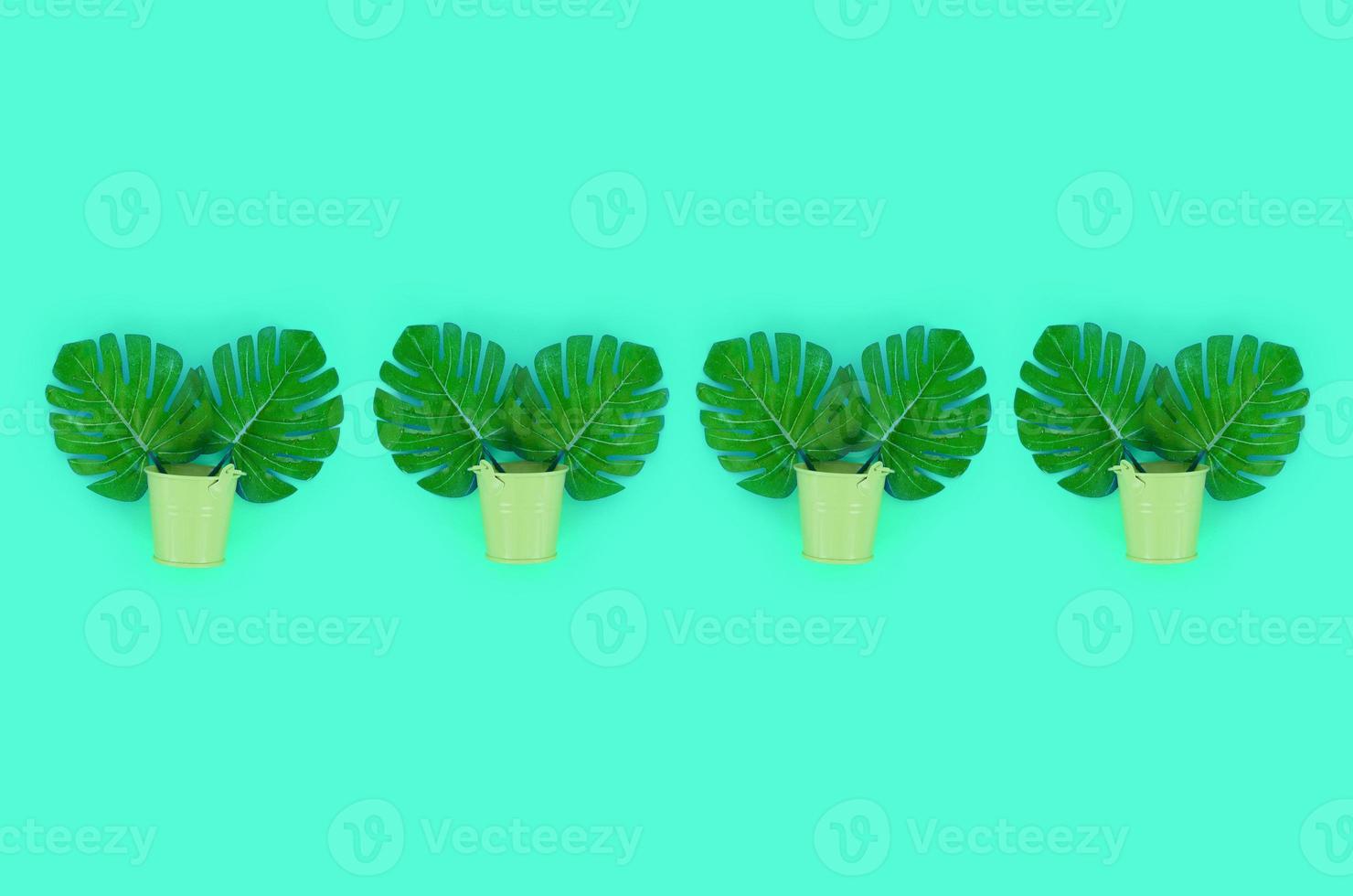 Tropical palm monstera leaves lies in a pastel pails on a colored background. Flat lay trendy minimal pattern. Top view photo