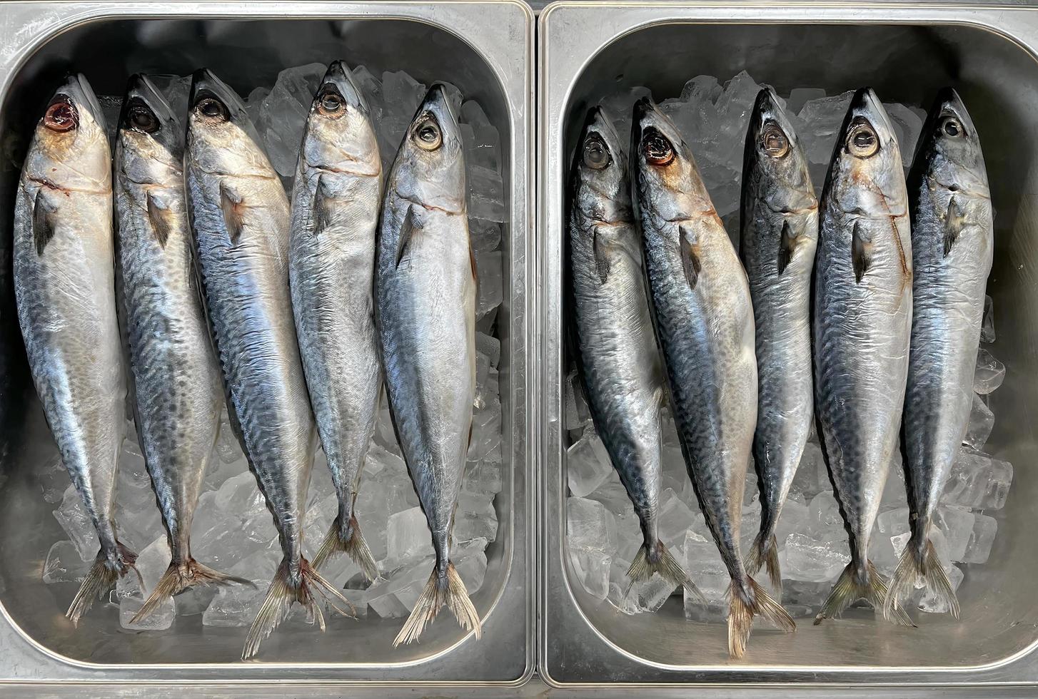 Fresh Tropical Seafood in the Market. Raw Freshly Caught Fishes on Ice