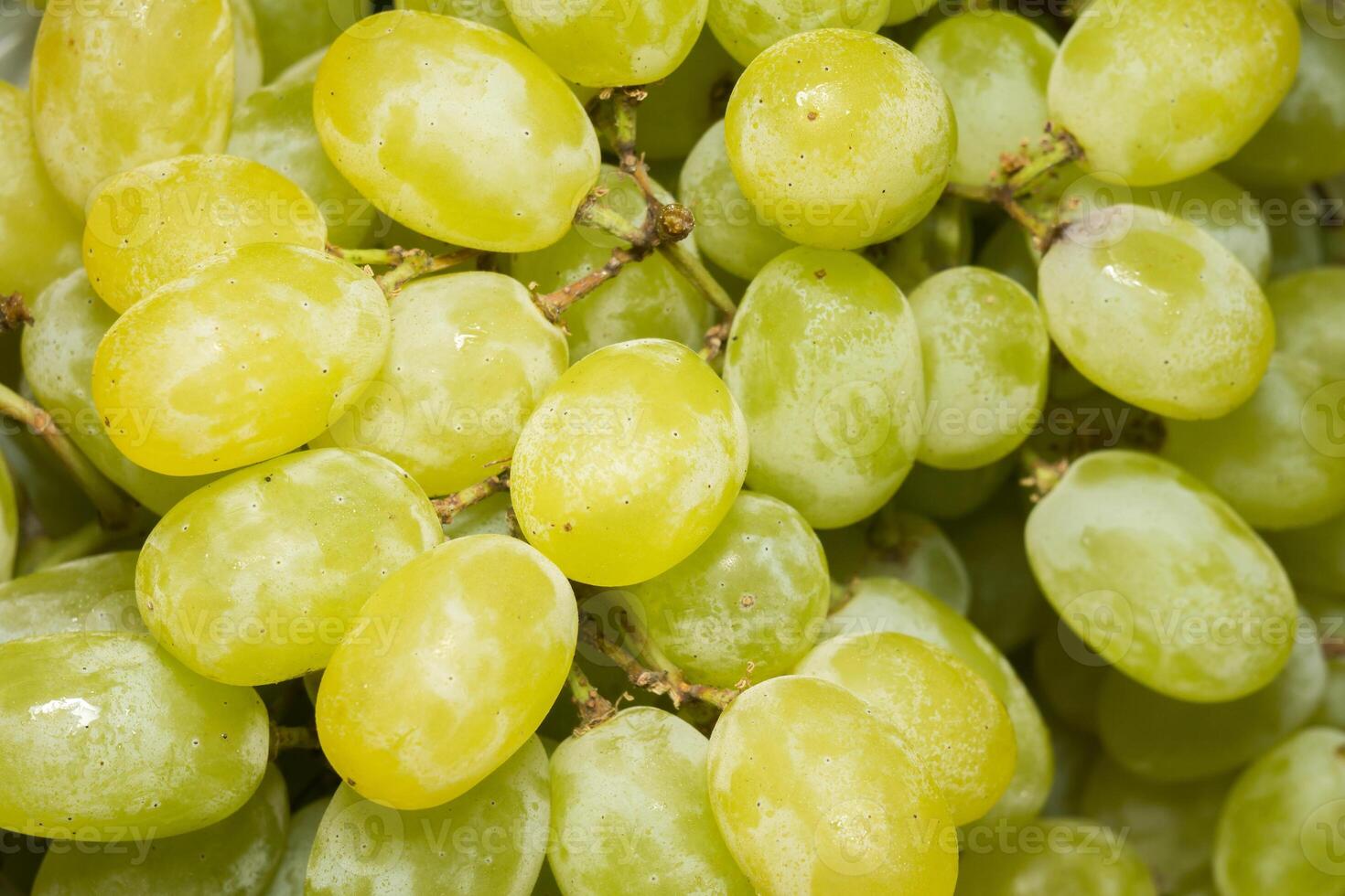 Green Grape Macro 12756331 Stock Photo at Vecteezy