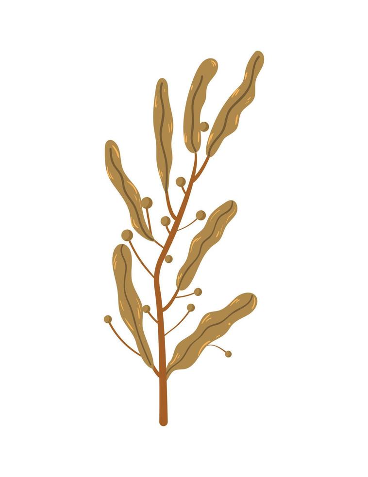 Vector illustration of Algae