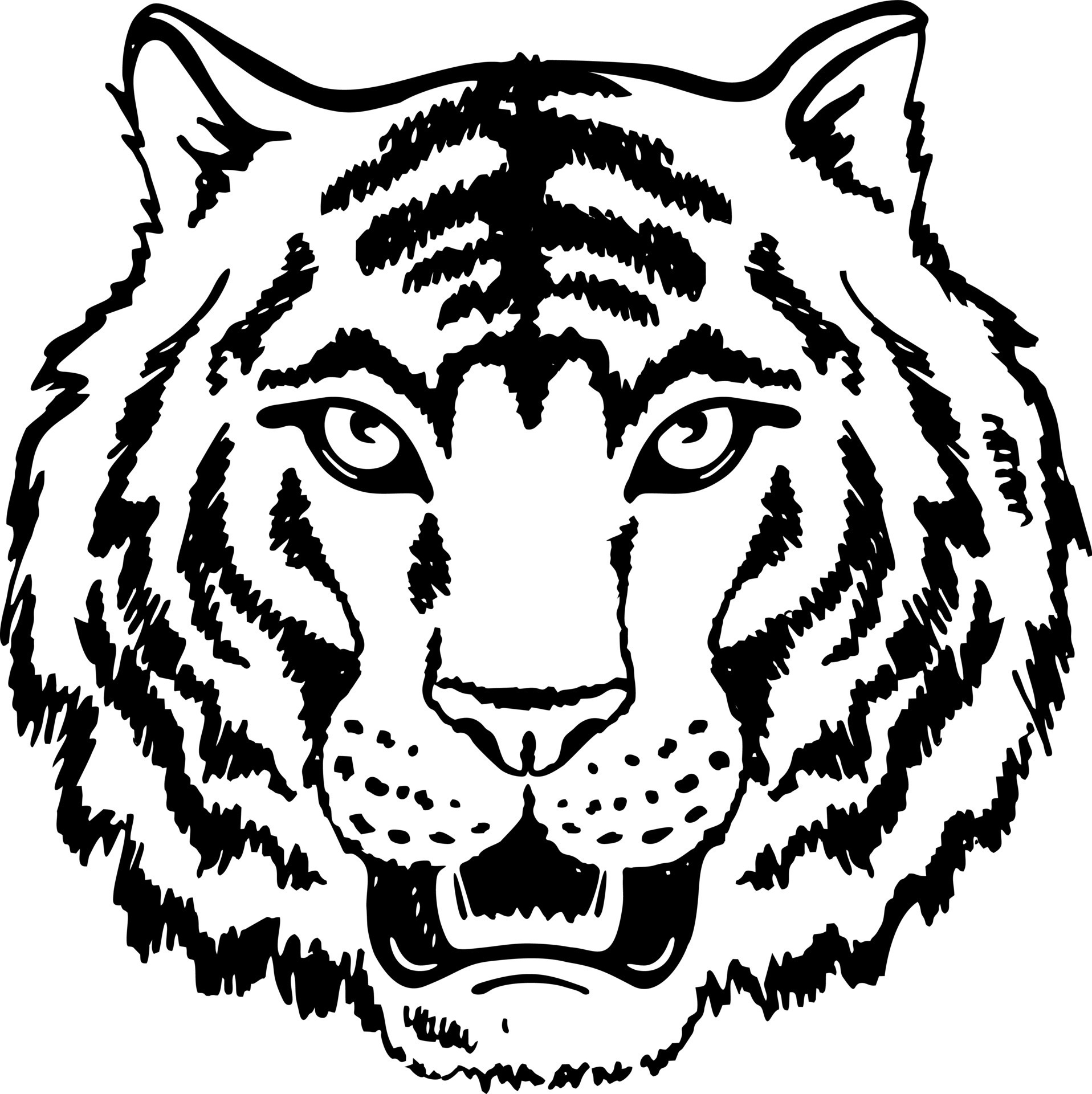 black and white tiger clipart