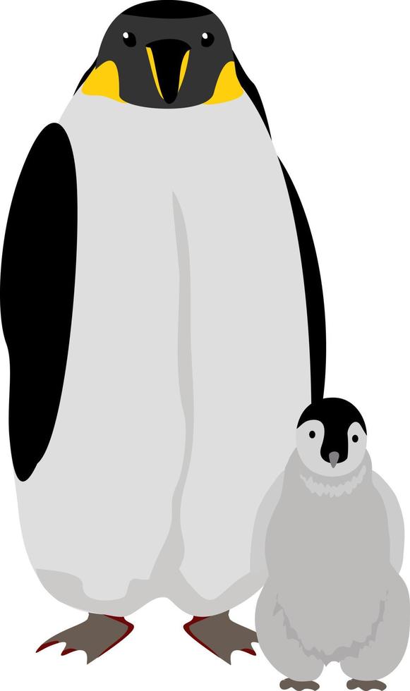 family of penguins. Emperor penguin. Northern animal. Arctic penguin vector