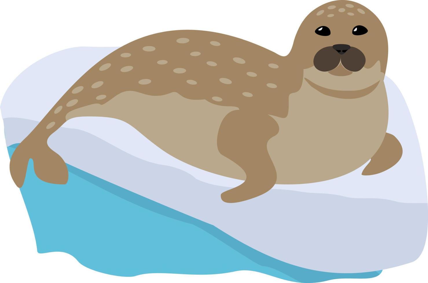 sello divertido lindo de la historieta. foca de puerto o foca verdadera. vector