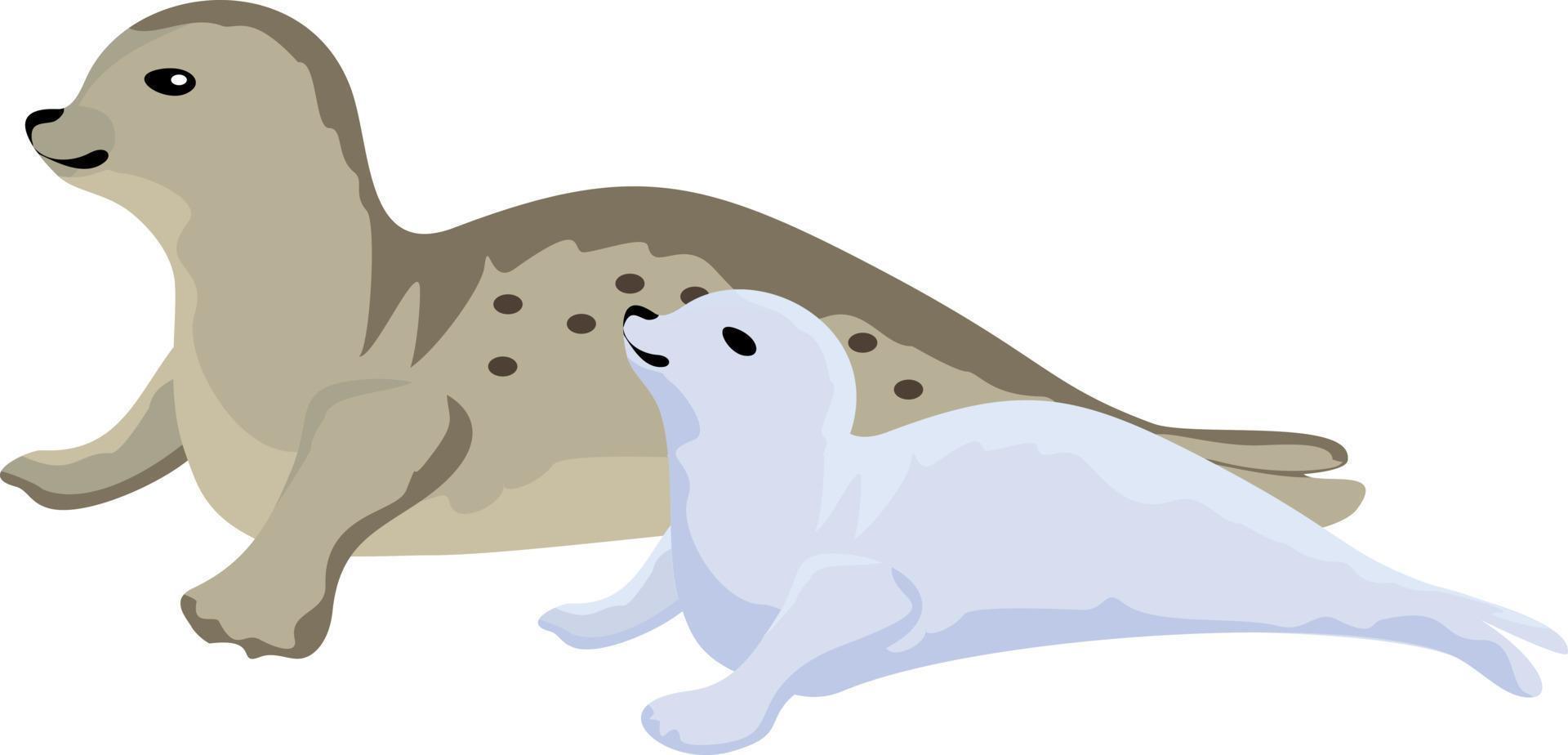 Seal and cub. Northern animals. vector