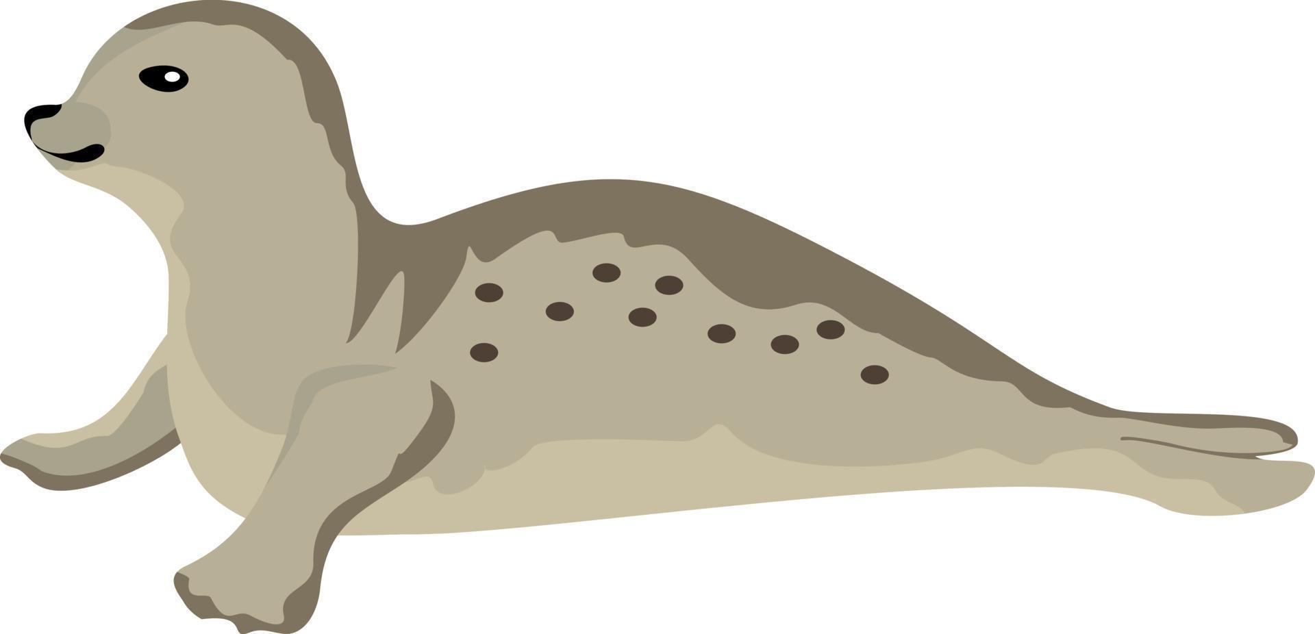 Seal animal. Seal lays. The seal has its head up and is looking sideways vector