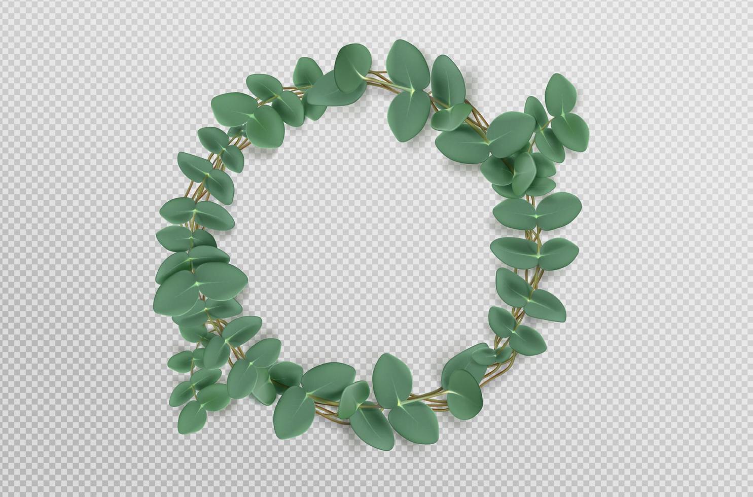 Eucalyptus wreath with leaves, frame or border vector