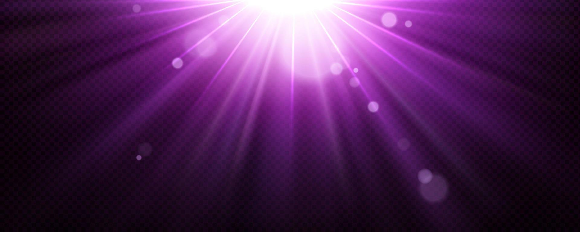 Light background with purple beams and flare 3d vector
