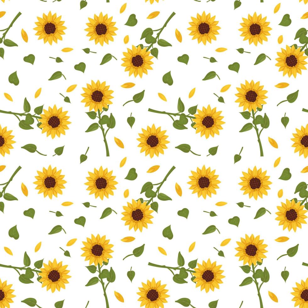 Seamless pattern with yellow sunflowers on white background. Print with element of nature, plant for decoration and design. Vector flat illustration