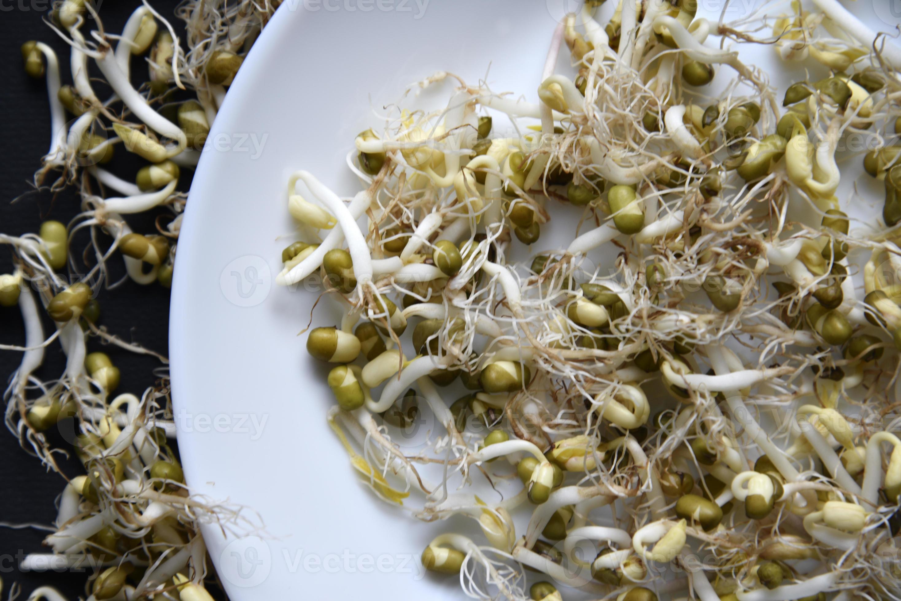 Sprouted chickpea beans with a leaf and roots for salad. Sprouted chickpeas closeup in a salad