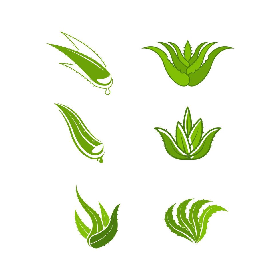 Ilustración de diseño de icono de vector de aloe vera