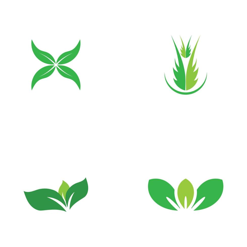 logotipos de vector de elemento de naturaleza de ecología de hoja de árbol verde