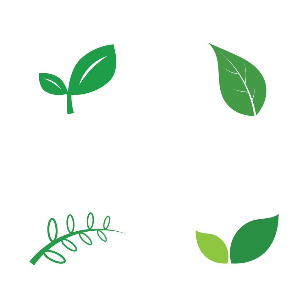 Logos of green Tree leaf ecology nature element vector
