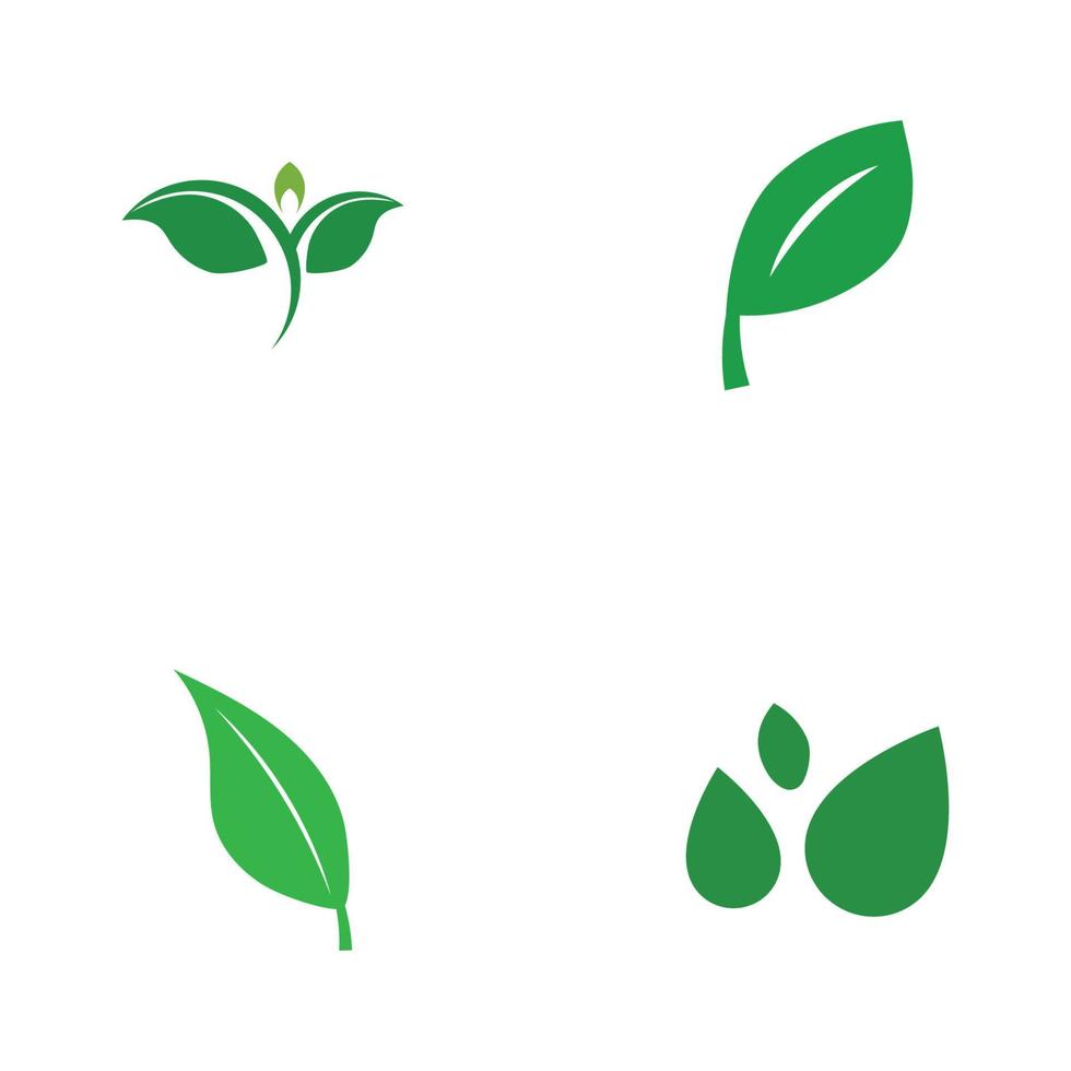 logotipos de vector de elemento de naturaleza de ecología de hoja de árbol verde