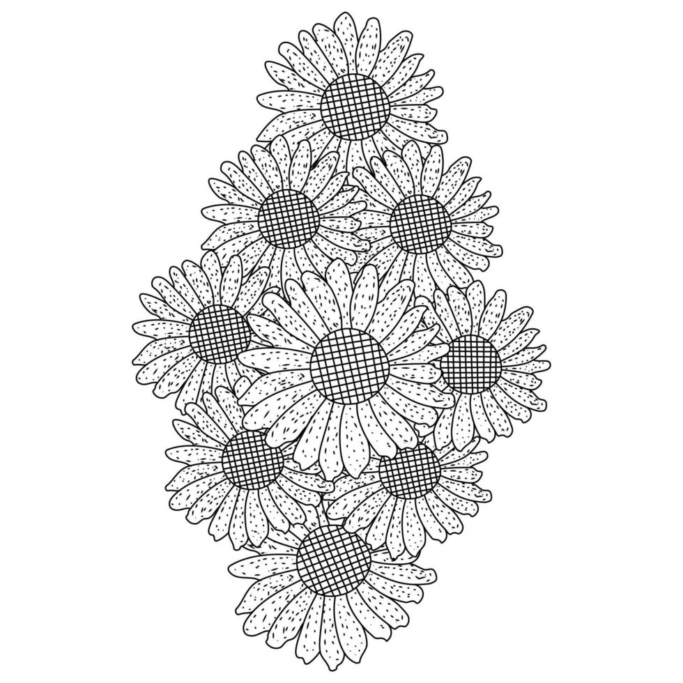 sunflower vector of coloring page doodle pencil line drawing blooming flower