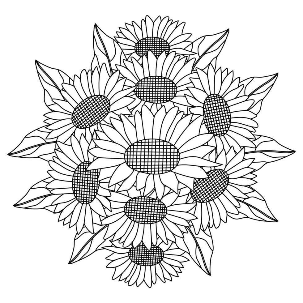 sunflower vector of coloring page doodle pencil line drawing blooming flower