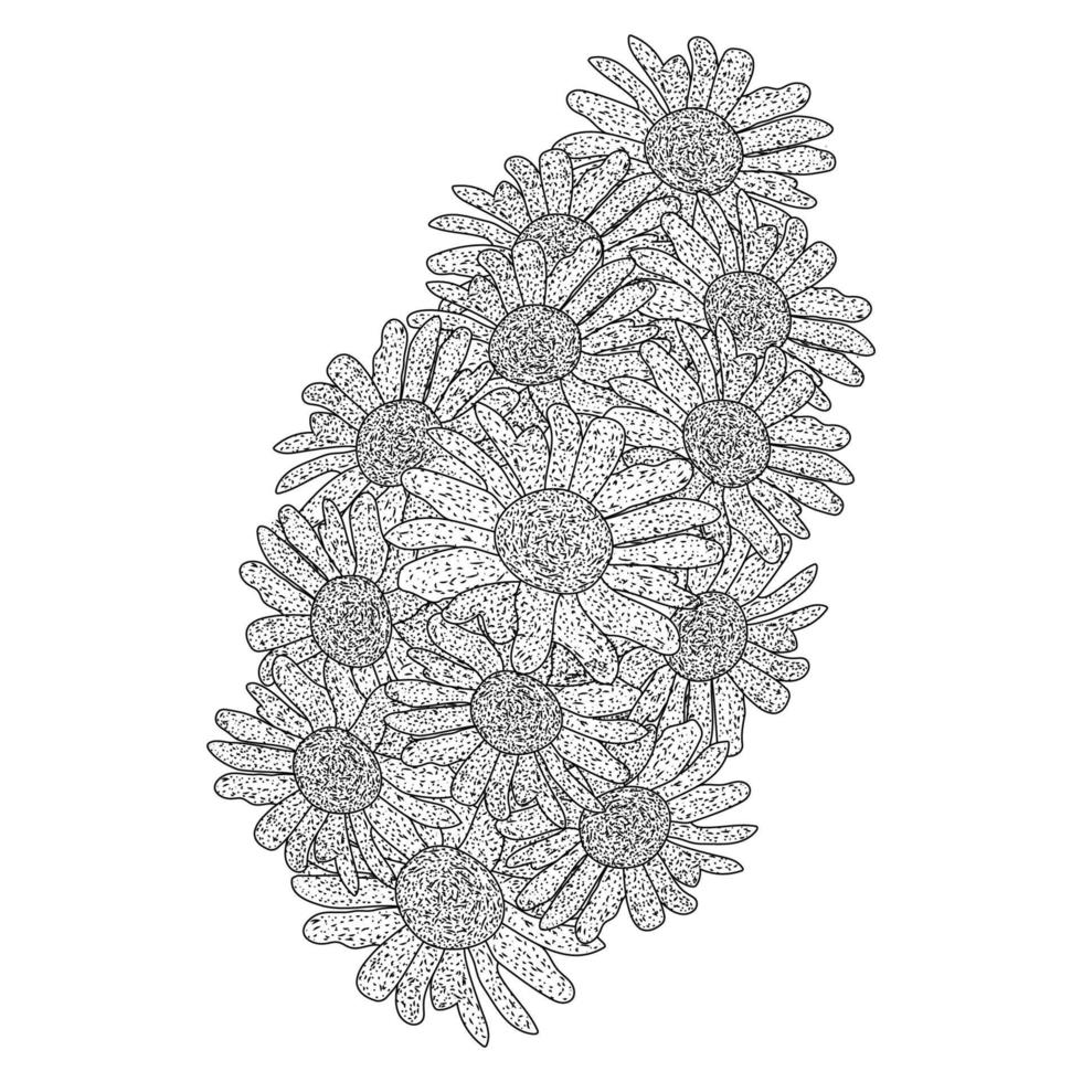 chamomile and daisy flower coloring page design with detailed line art vector graphic