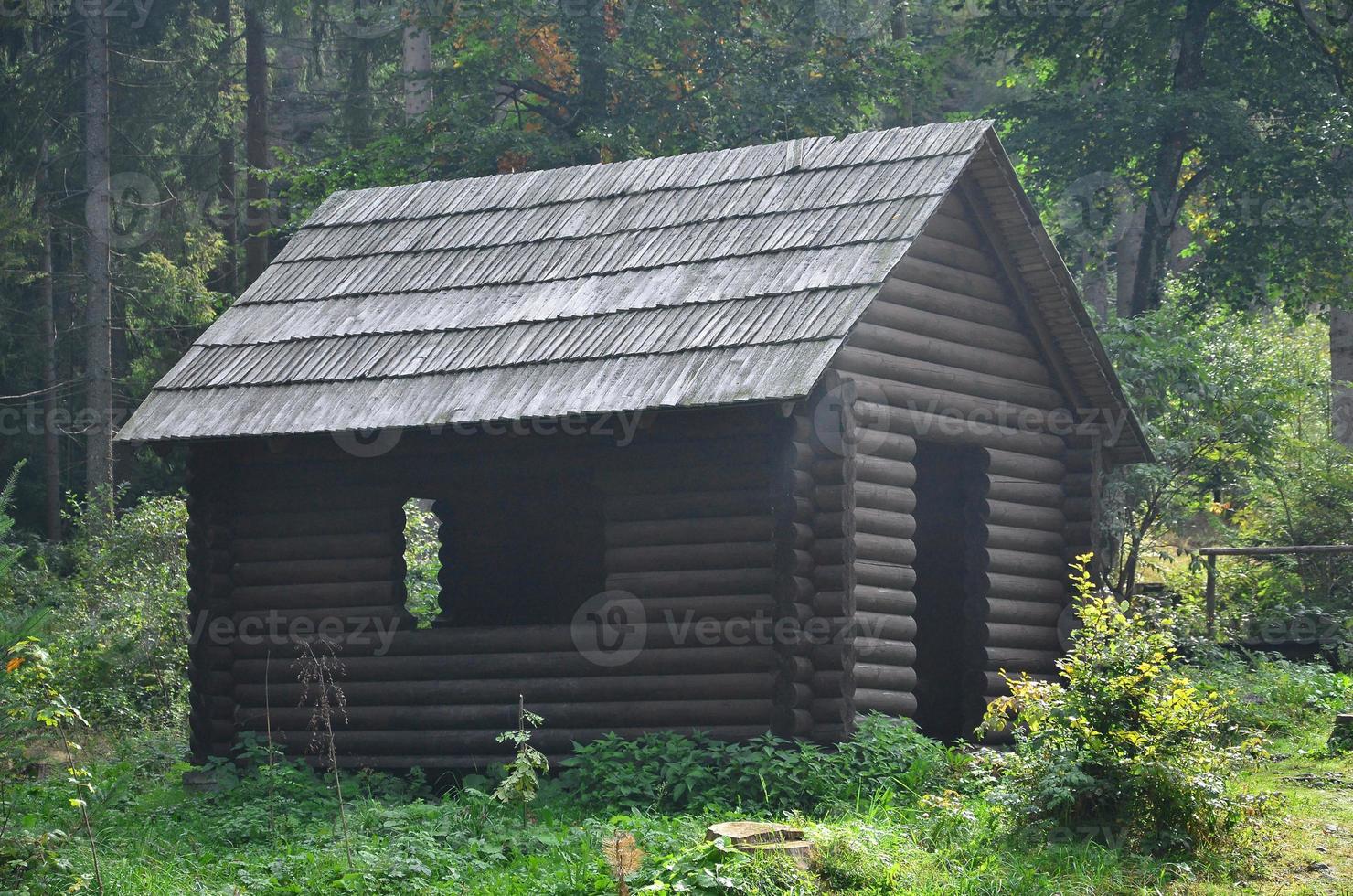 Small natural house, which is built of wood. The building is located in the forest photo