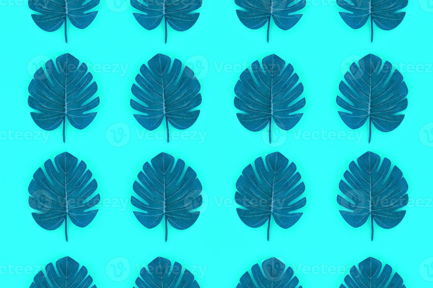 Tropical palm monstera leaves lies on a pastel colored paper. Nature summer concept pattern. Flat lay composition. Top view photo