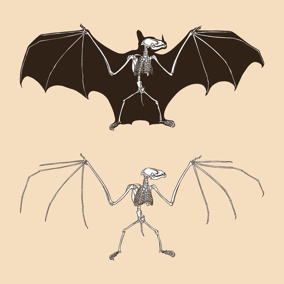 Ilustración de vector de murciélago esqueleto