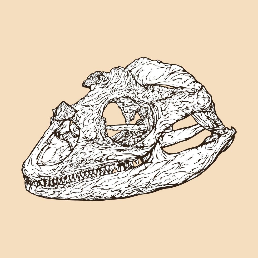 Ilustración de vector de cabeza de cráneo de iguana de rinoceronte