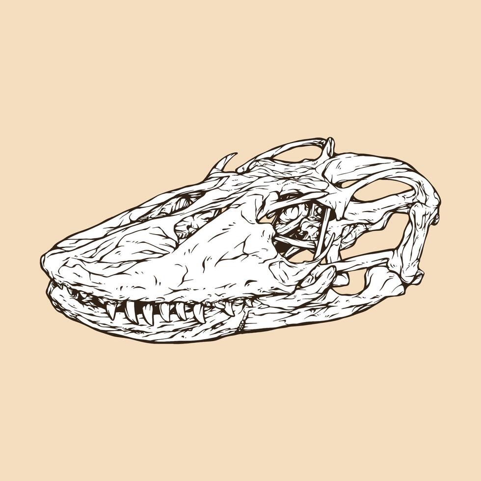 Ilustración de vector de cabeza de cráneo de dragón de Komodo