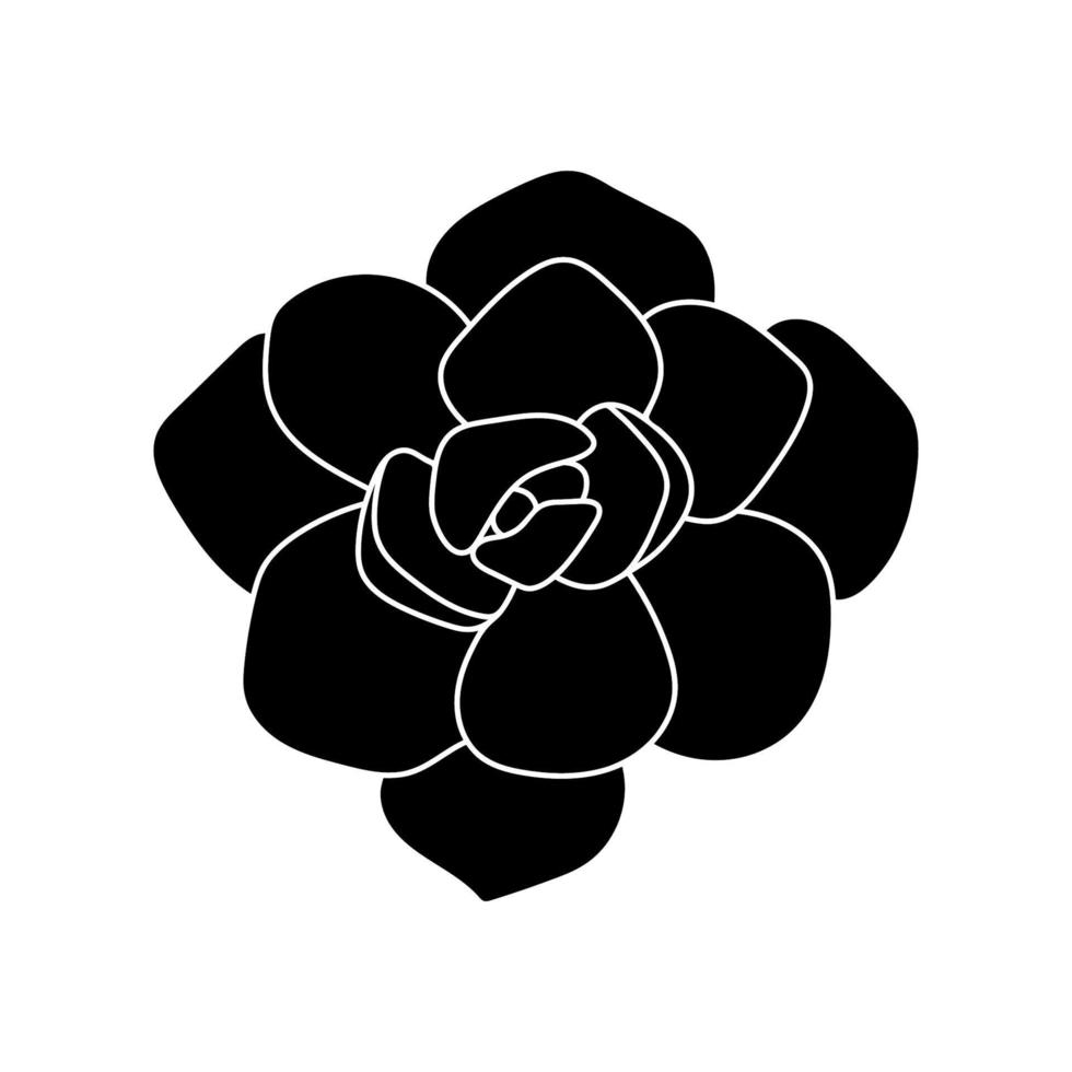 Succulent echeveria in simple style, vector illustration. Desert flower for print and design. Silhouette mexican plant, graphic isolated element on a white background. Houseplant for decor interior