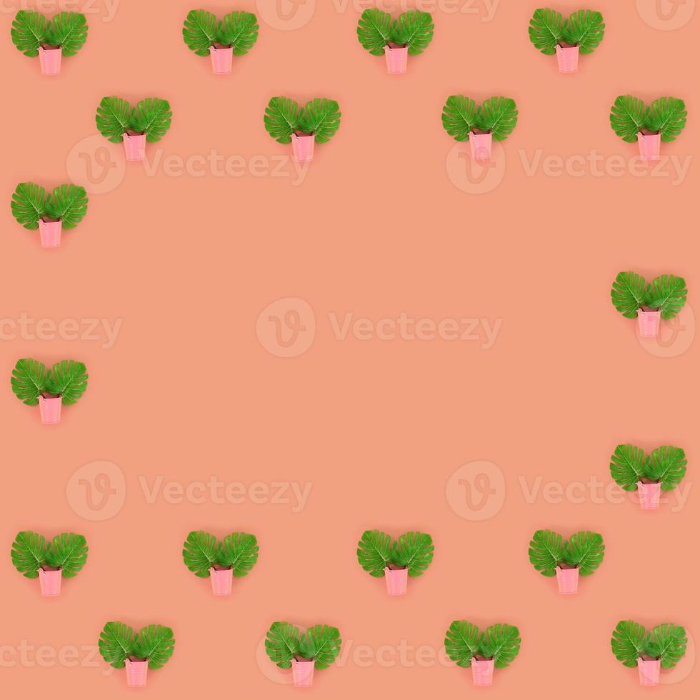 Tropical palm monstera leaves lies in a pastel pails on a colored background. Flat lay trendy minimal pattern. Top view photo