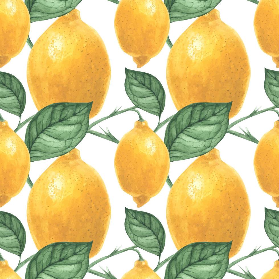 Yellow Lemon seamless pattern by traced watercolor vector