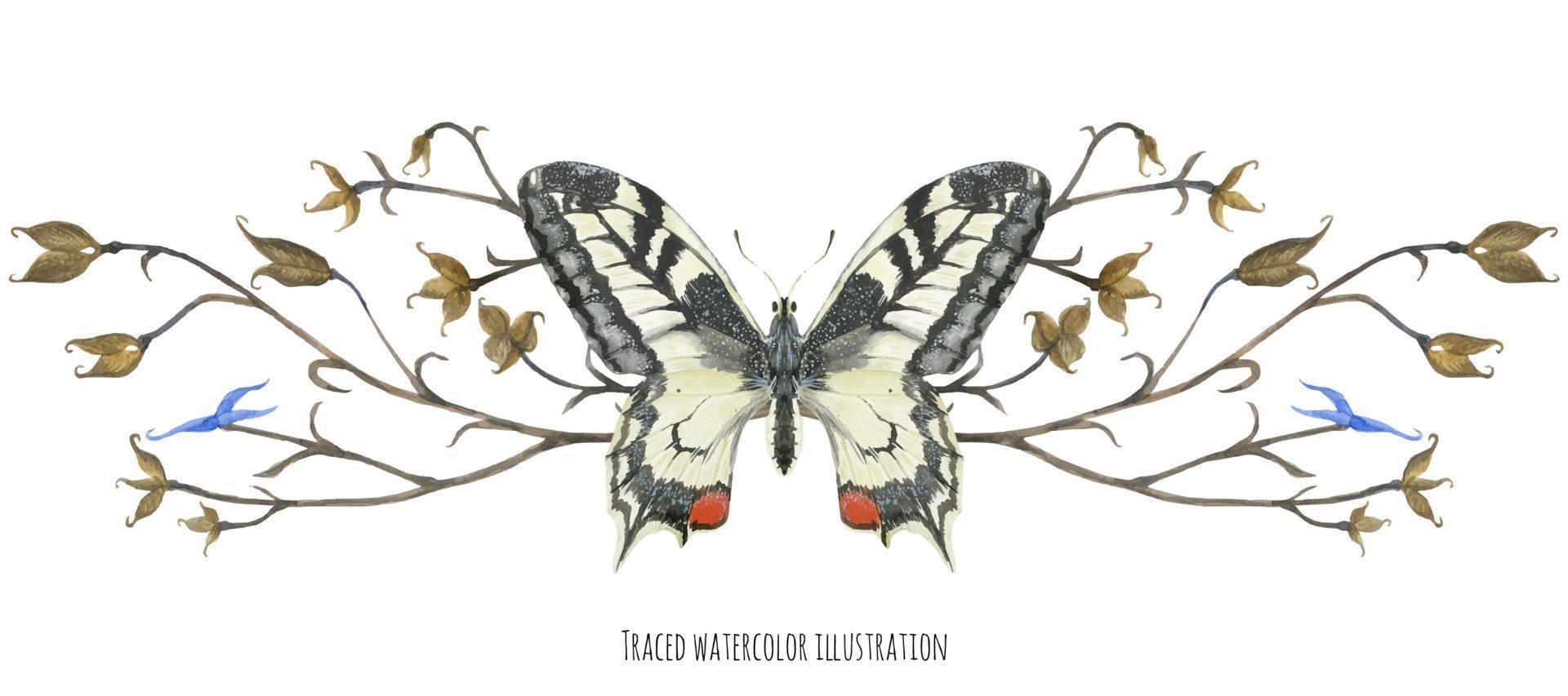 viñeta con mariposa machaon y plantas vector