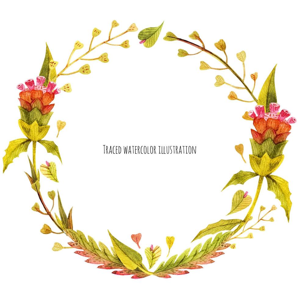 Meadow wild plants wreath vector