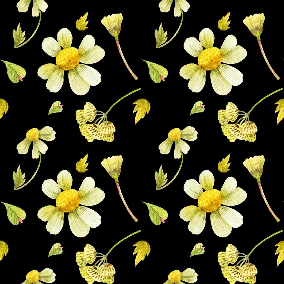 patrón floral transparente con plantas silvestres vector