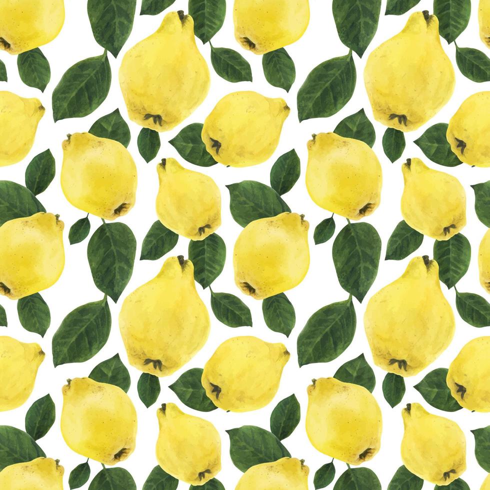 Yellow quince fruits and green leaves seamless pattern vector