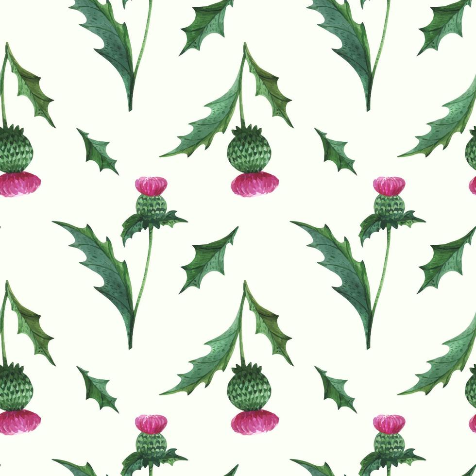 Floral seamless pattern with wild thistle vector